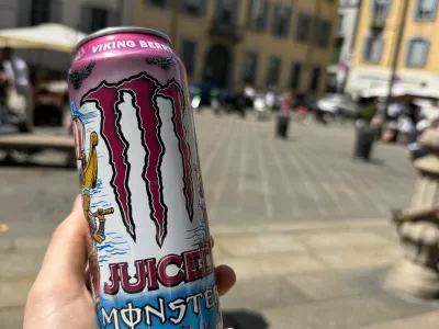 Monster Viking Berry - smagen af fortryllende nordiske bær