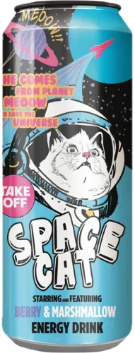 Take Off Space Cat