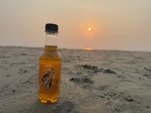 Sting Energy