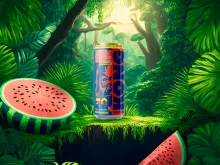 Kong Strong Watermelon